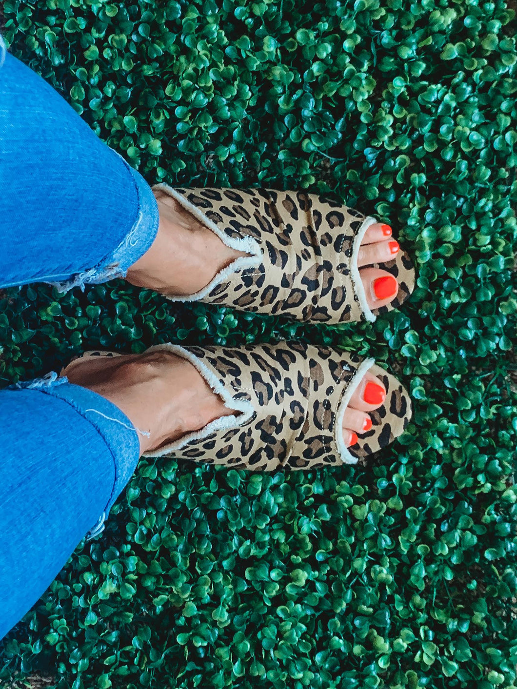 Mid Heel Leopard Sandals (approx.  ship date 4-22) - Believe Inspire Beauty 