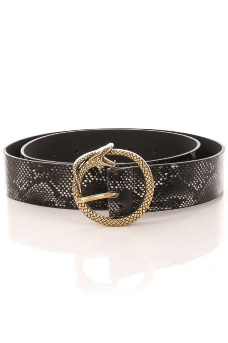 Faux leather snake buckle belt freeshipping - Believe Inspire Beauty